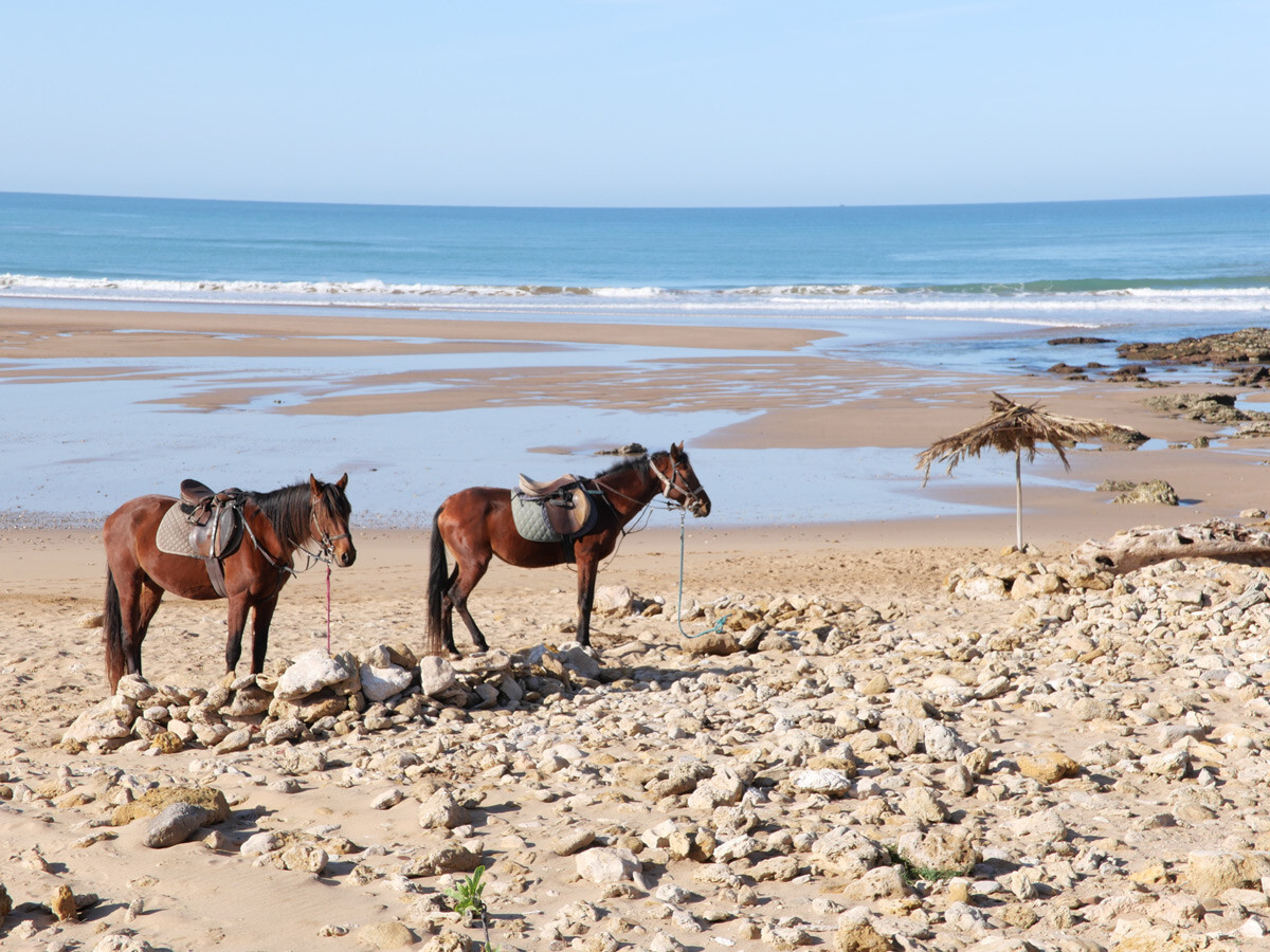 Sidi Kaouki Beach photo 3